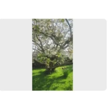 Meadow View Nocleg ze śniadaniem Sligo